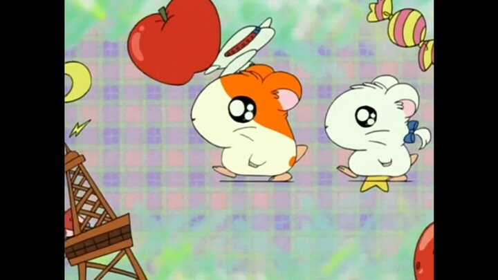 Hamtaro Arabic Dub Opening