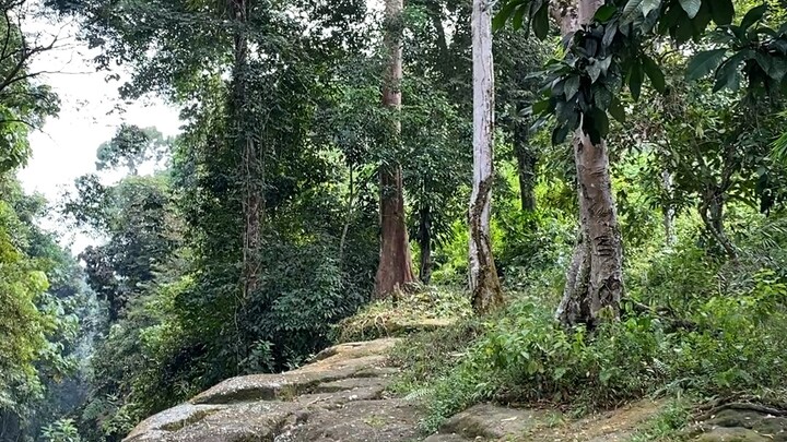 liburan