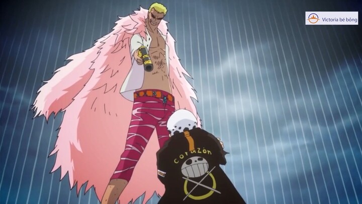 Victoria bé bỏng - Review - mối quan hệ giữa Law vs Doflamingo #anime #schooltime