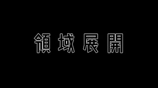 夏油杰领域展开