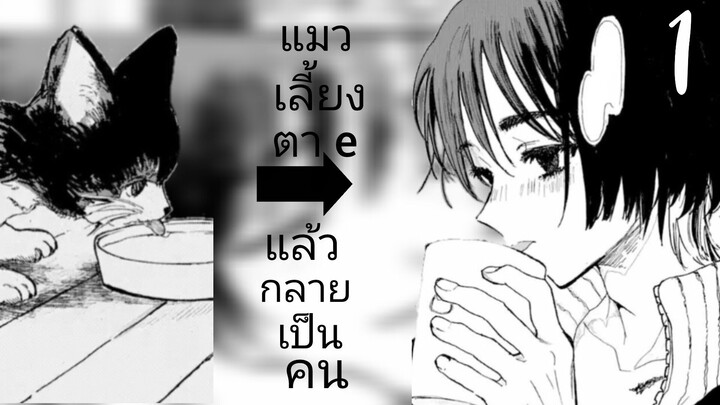 ตอนที่1: แมวที่เลี้ยงตายแล้วกลายเป็นคน