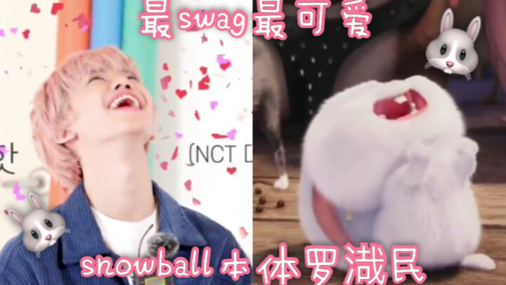 【โรแจมิน】น่ารักสุดๆ! ลูกบอลหิมะที่เท่ที่สุดในโลก