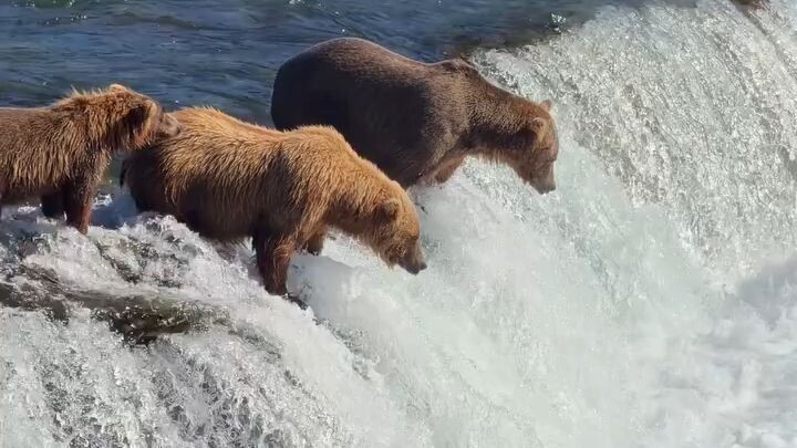 SLOW MOTION OF IPHONE