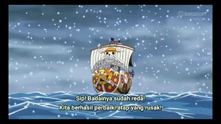 ketika yonkou Luffy memasak di sunny go.