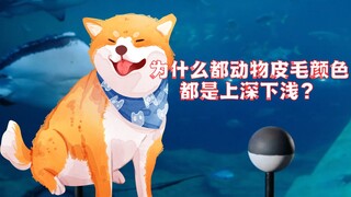 为什么几乎所有动物的皮毛，都是背部颜色深，腹部颜色浅？
