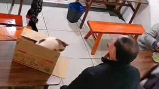 ฮาคิมิจะแสดงเวทมนตร์