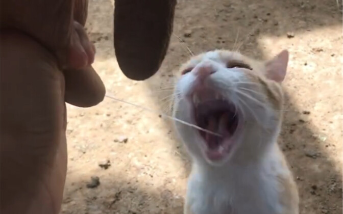 Cho tôi một ngụm nào!