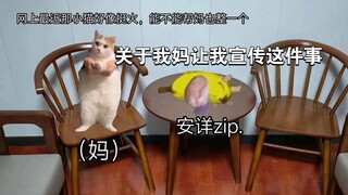 【猫meme】关于我妈看猫meme上瘾后，让我帮忙做一期，宣传家具这件事