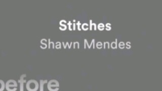 STITCHES SONG FULL LYRICS