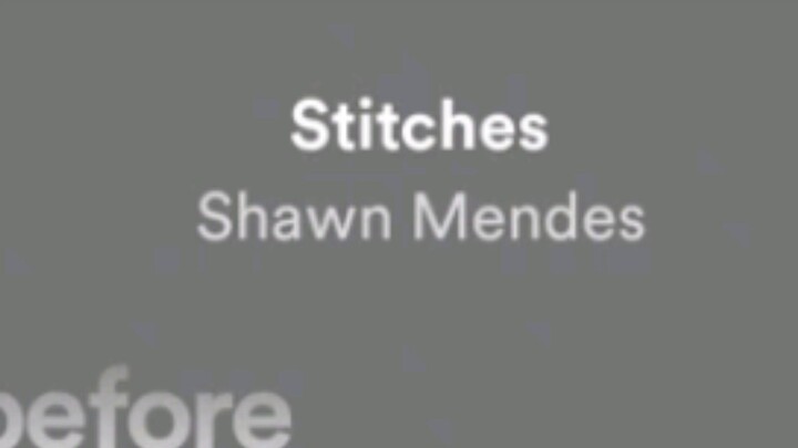 STITCHES SONG FULL LYRICS