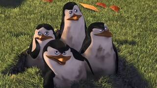 Rencana pelarian penguin gagal. Benar saja, semakin sedikit makhluk yang diketahui tentang rencana p