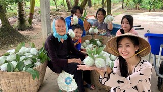 TIN VUI : Giải Cứu Vườn Ổi Giúp Bà Cồ Và Món Quà Bất Ngờ Cho Bà Ở Cuối Video | NĐMT#185