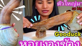 กินหอยงวงช้างดิบ ซาซิมิ / eating Geoduck/กินโชว์/ชีวิตในอเมริกา/c.k.taylor/ May 26, 2019