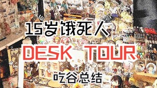 【痛桌展示】（饿死bushi）排球人一年的钱都花哪了（内含大量桌面展示吐槽）