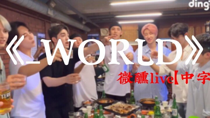 【Sub tiếng Trung thưởng thức trọn vẹn】Phiên bản lâng lâng《_WORLD》|| Chào mừng đến với thế giới của T