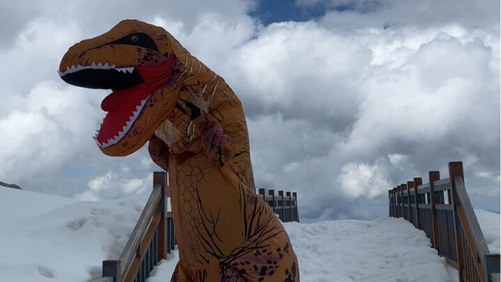 Dinosaur Spotted on Yulong Snow Mountain