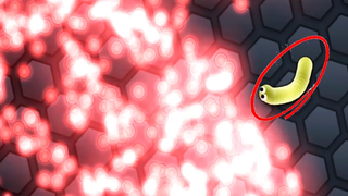 Slitherio - งูตัวเล็กที่โตเร็วที่สุด