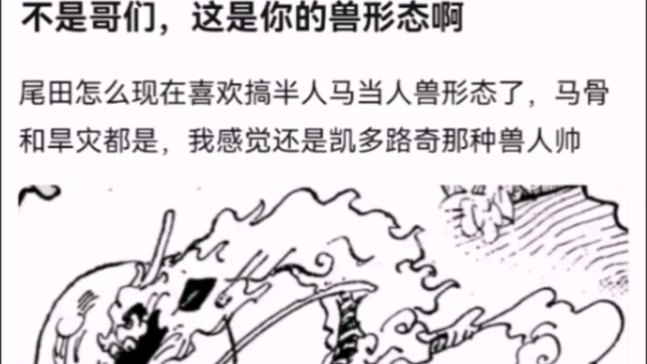 不是哥们，这是你的兽形态啊【海贼王】