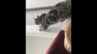 ร่วงกันหมด