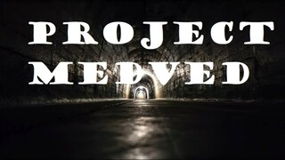 Project Medved | GamePlay PC