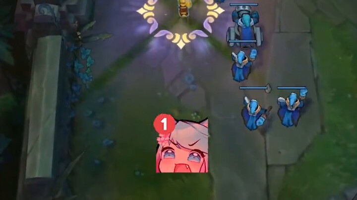 Có thực sự có Fiora nào nghĩ rằng cô ấy có thể đánh bại một con mèo không?