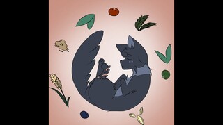 I'd Rather Sleep - Cinderpelt | Meme Animation