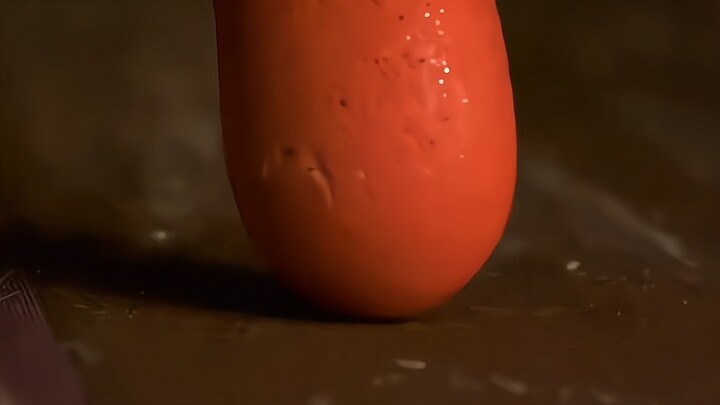 "Take you on a journey to explore the fascinating microscopic world"