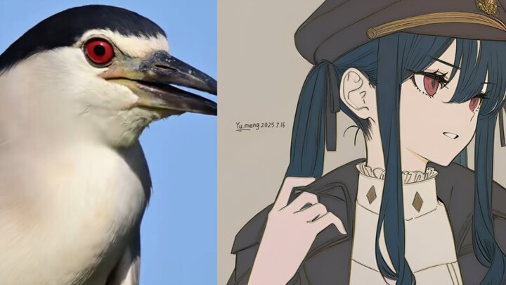 Night Heron-chan? Let’s draw a cool Night Heron-chan!