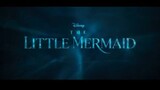 Digital Entertainment: The Little Mermaid - Official Teaser Trailer