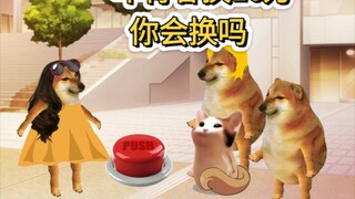 一年青春换10万，你会换吗