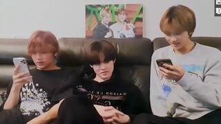 【Bốn trạm hợp tác】 210112 Kẹo bông 💚 Phụ đề tiếng Trung toàn bộ chương trình