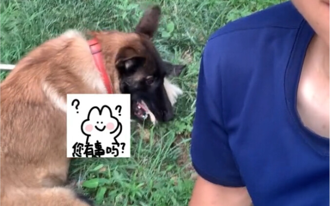 Terkadang IQ yang terlalu tinggi juga nggak selalu jadi hal baik!