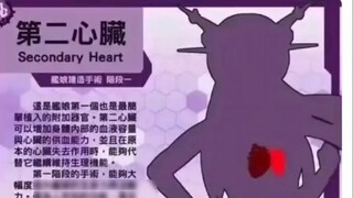 خطوات تطوير سفينة الفتيات