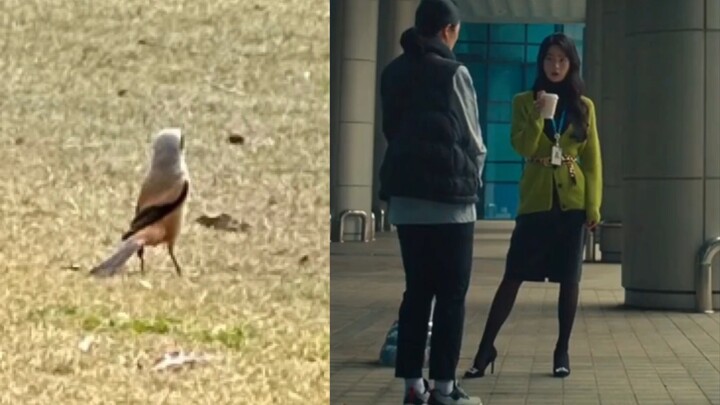 Yeon-jin’s stance in “The Glory” is so mesmerizing… It exudes this totally shady, second-rate thug v