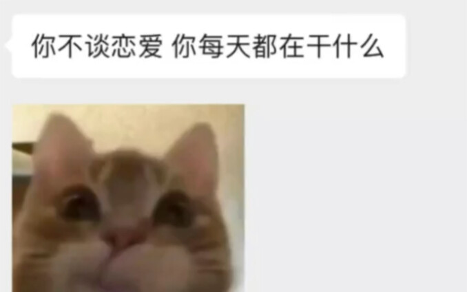 [Cat Diary Sign] Guess what I do every day