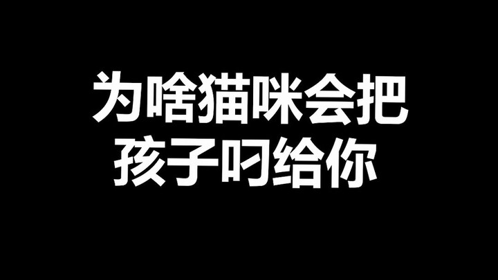 เกร็ดความรู้เกี่ยวกับสัตว์เลี้ยง: แมวคาบลูกมาให้คุณหมายความว่าให้คุณพาไปหรือเปล่า? ถ้าเอาคืนจริงๆ จะ