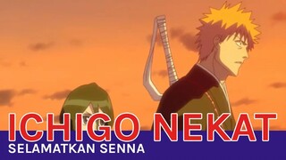 Ichigo Nekat Selamatkan Senna