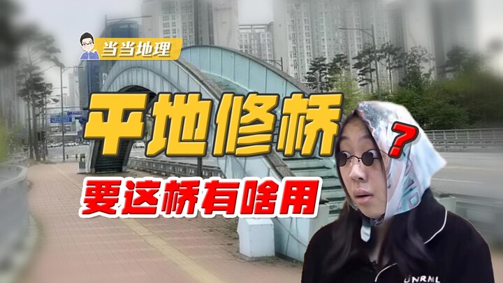 不懂就问，平地也要修桥？这座桥真的有用吗？【当当地理】