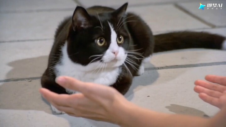 รีบสารภาพรักกับเธอเลย! รีบๆ!!