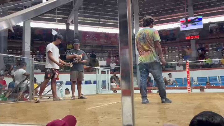 MAGIC GREY 🎩  FIRST FIGHT