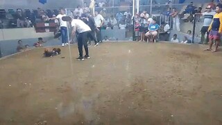 win