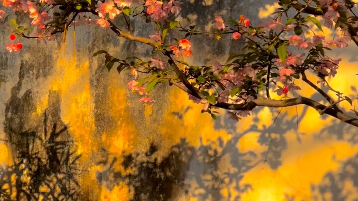 “Thật không ngờ đây lại không phải tranh, chỉ qua màn hình mà vẫn cảm nhận được sự kỳ diệu của ánh s
