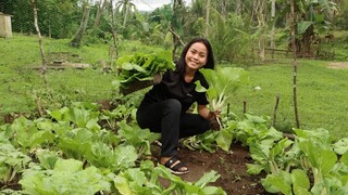 Making Spring Rolls Using Petchay for Dinner with Family, Province Life - Bohol, Philippines