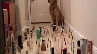 This is difficult, come with me