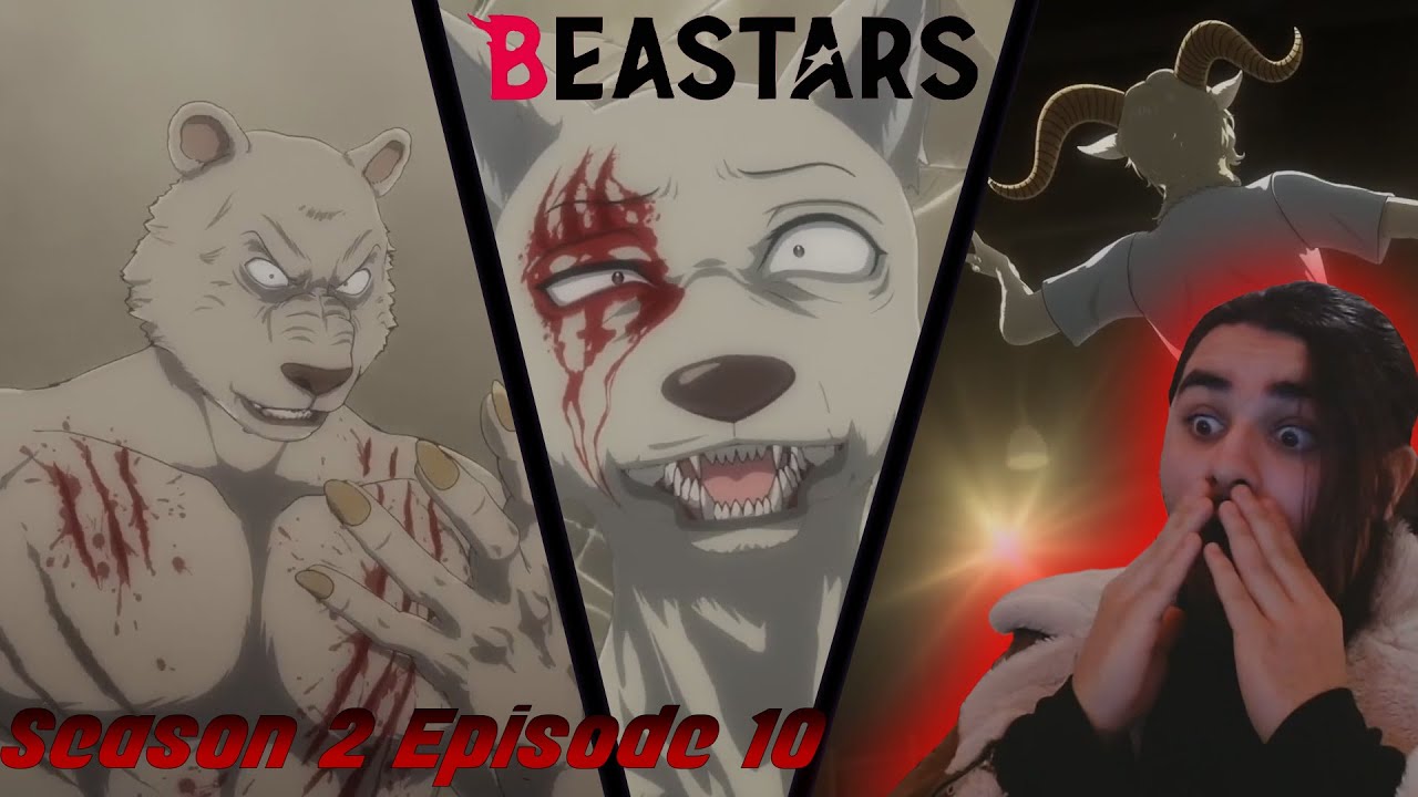 Beastars season 2 episode 10 hot sale