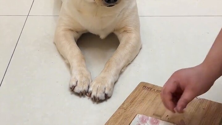 Stop calling me stupid. It's because you haven't realized how smart I am.