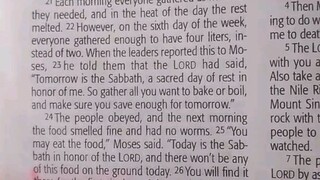 Daily Verse.                  Exodus 16:24-26