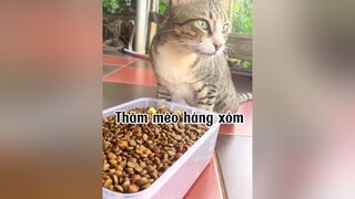 Lâu lâu mang hạt về cho Sayan mèo cat