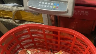 قال لي صديق إنه يريد معرفة الوزن الحقيقي لسلطعون الملك. هذا هو الذي وزنه البائع في شنغهاي وأرسله لي.