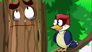 I was dying of laughter. In my dream, I was punched into a fool by a woodpecker!